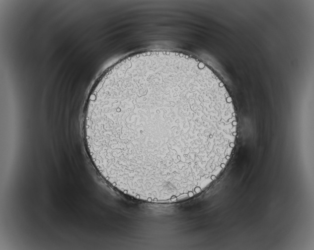 X0000083550856200703021649