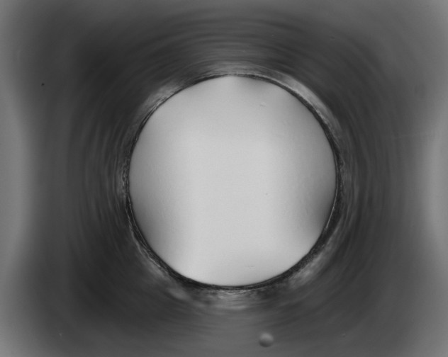 X0000083550857200703021649
