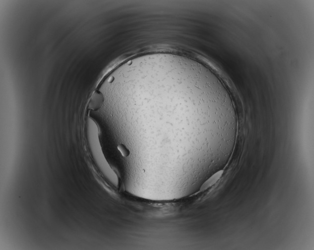 X0000083550858200703021649