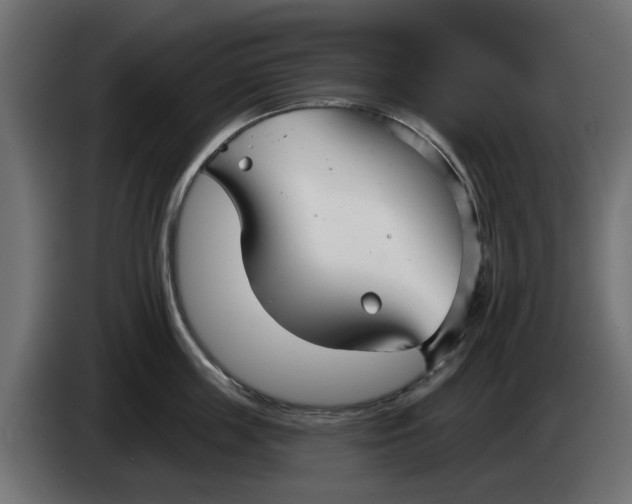 X0000083550859200703021649