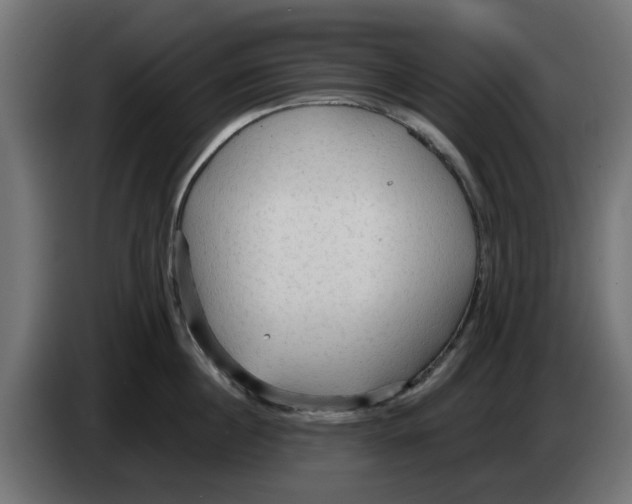 X0000083550860200703021649