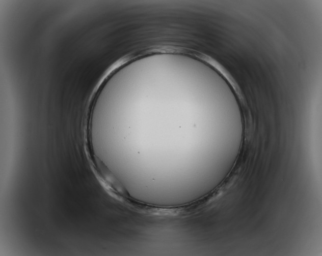 X0000083550861200703021649