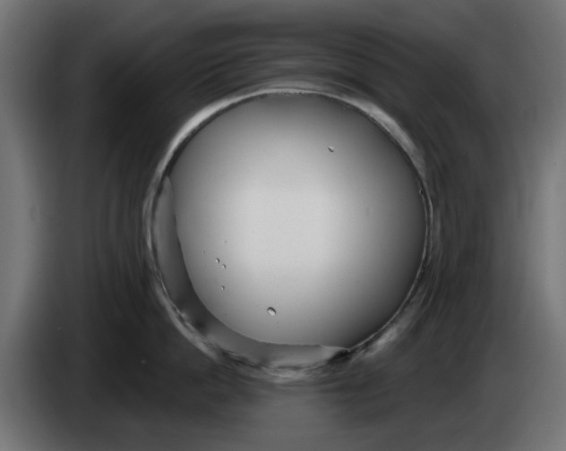 X0000083550862200703021649