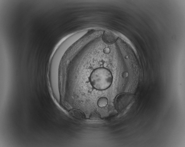 X0000083550863200703021649