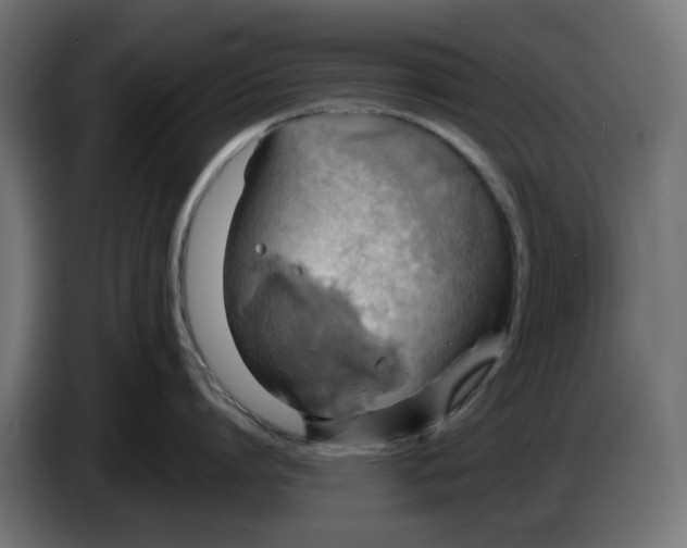 X0000083550864200703021649