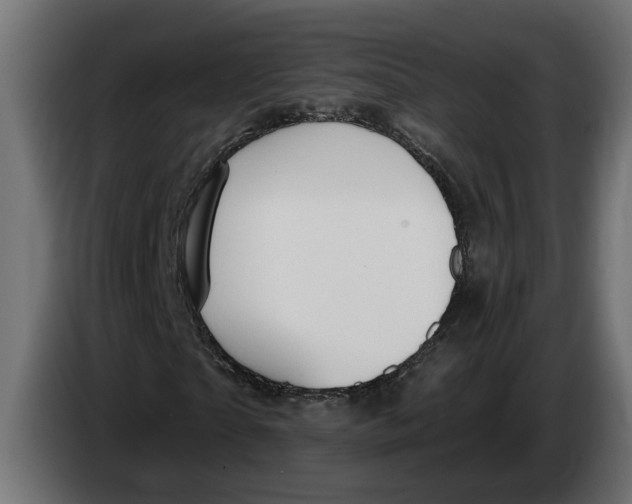 X0000083550865200703021648