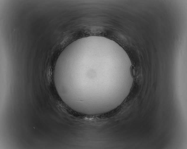 X0000083550866200703021648