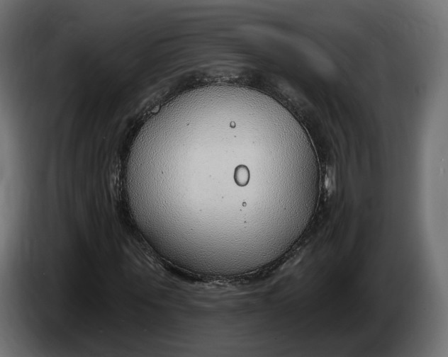 X0000083550867200703021648