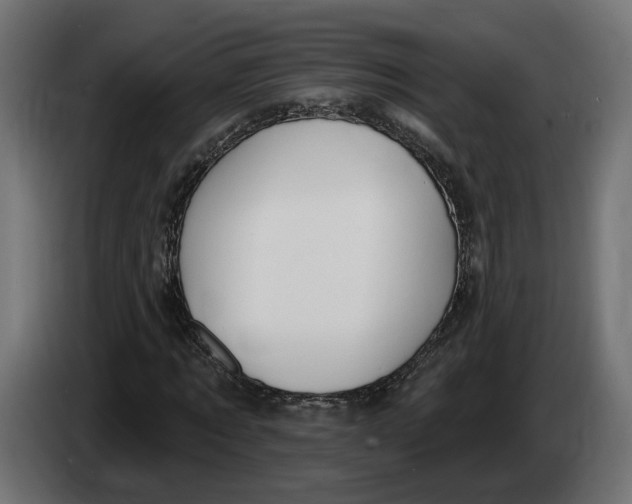 X0000083550869200703021648