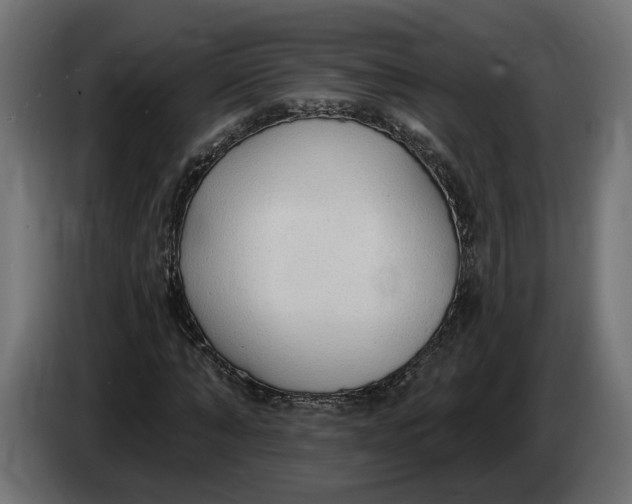 X0000083550870200703021648