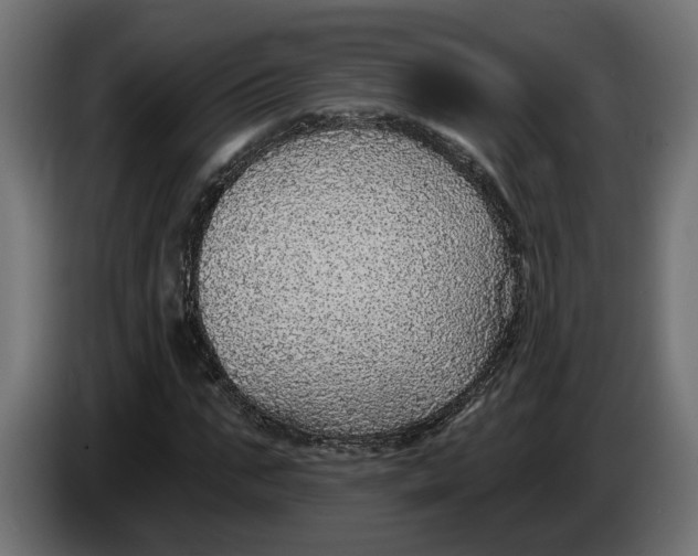 X0000083550871200703021648
