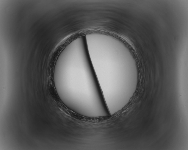 X0000083550872200703021648