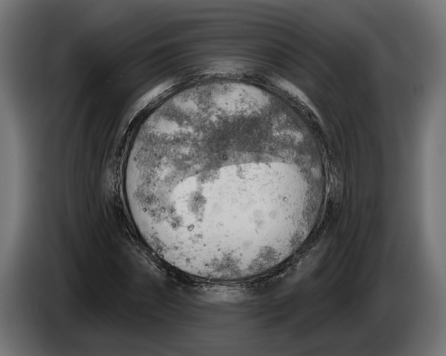 X0000083550874200703021648