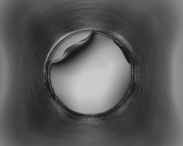 X0000083550876200703021648