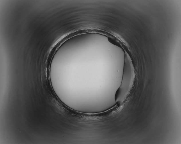 X0000083550877200703021648