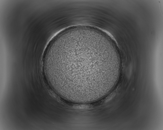 X0000083550879200703021648