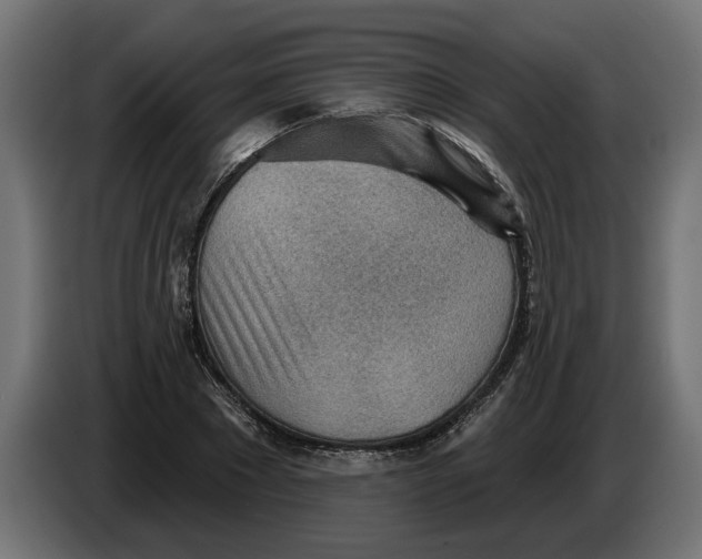 X0000083550881200703021648