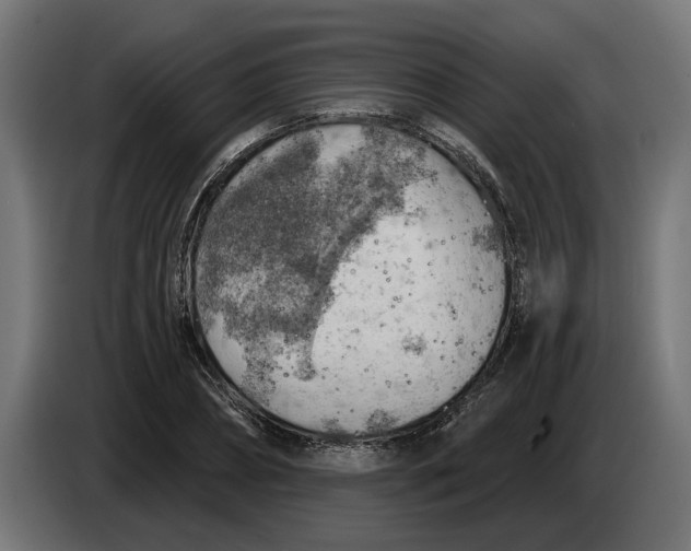 X0000083550882200703021648