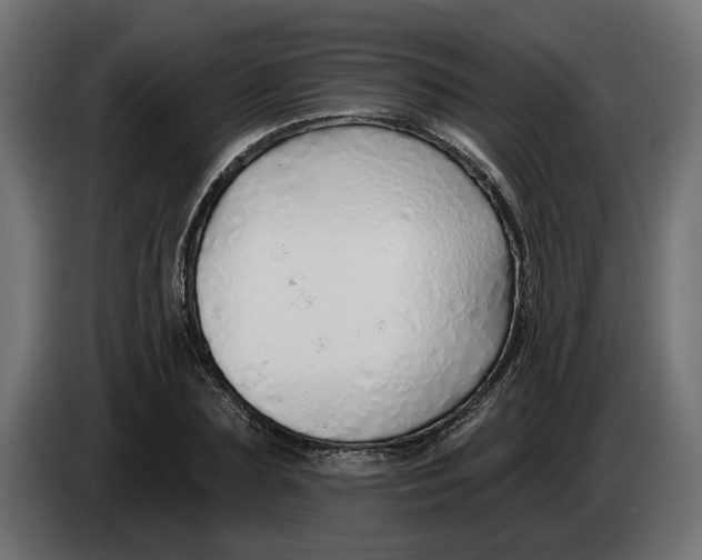 X0000083550883200703021648