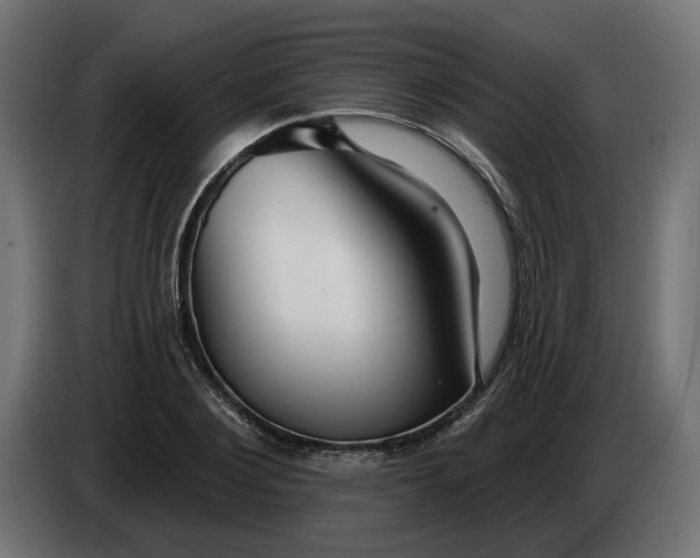 X0000083550884200703021648