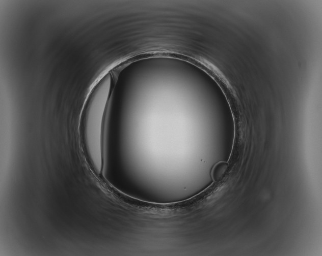 X0000083550885200703021648