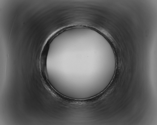 X0000083550888200703021648