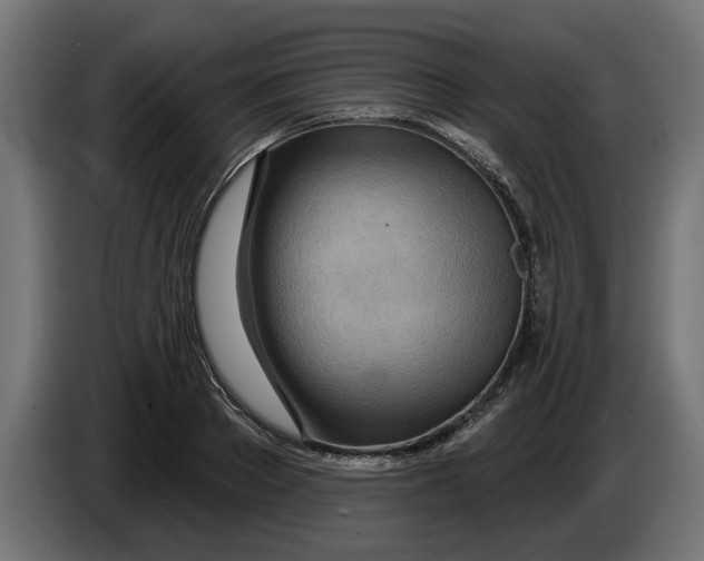 X0000083550889200703021648