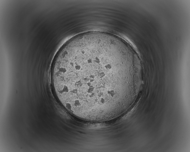 X0000083550891200703021648