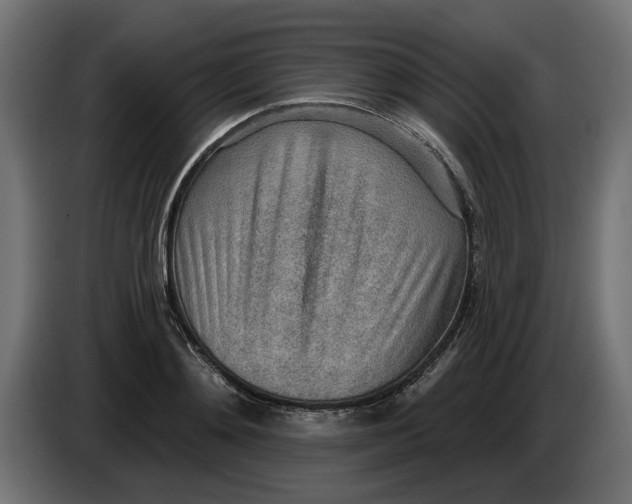 X0000083550892200703021648