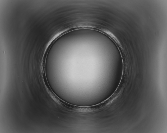 X0000083550893200703021648