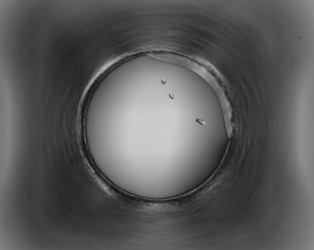 X0000083550894200703021648