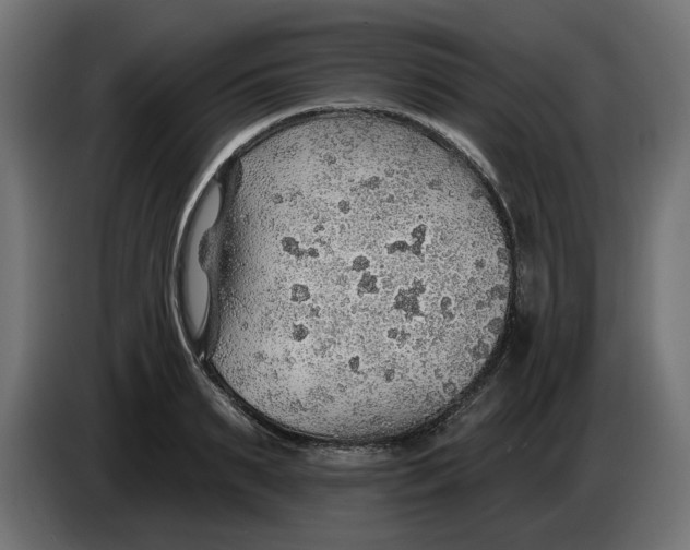 X0000083550895200703021648