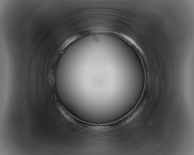 X0000083550897200703021648