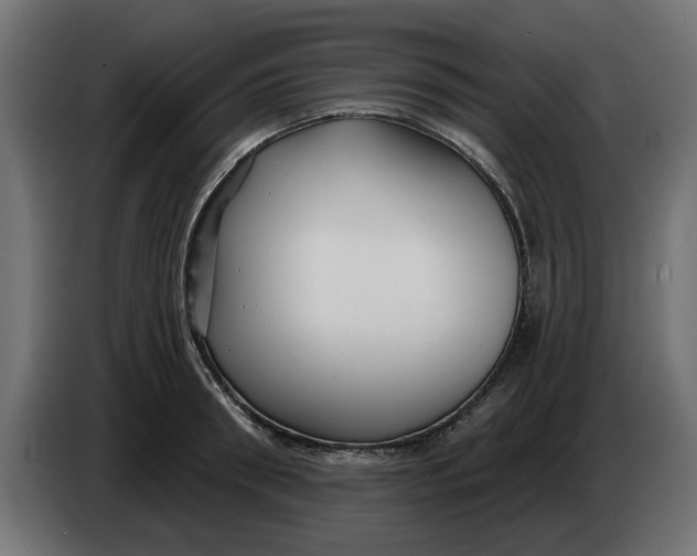 X0000083550898200703021648