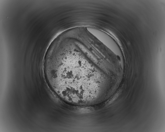 X0000083550899200703021648