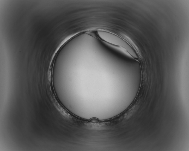 X0000083550900200703021647