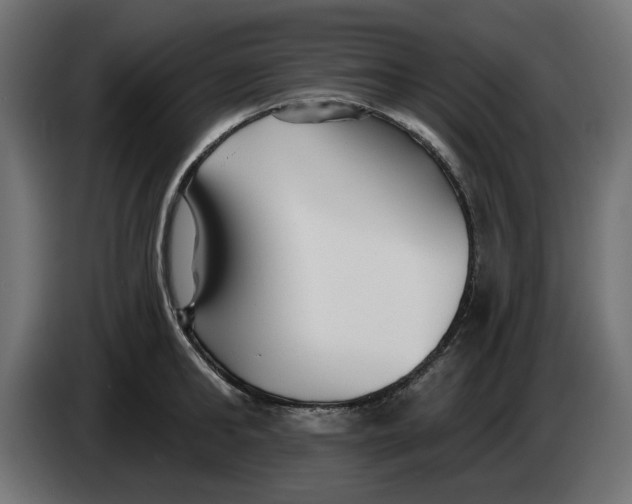 X0000083550902200703021647
