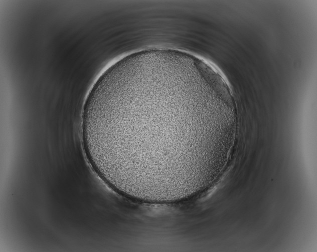 X0000083550903200703021647