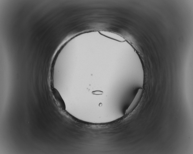 X0000083550904200703021647