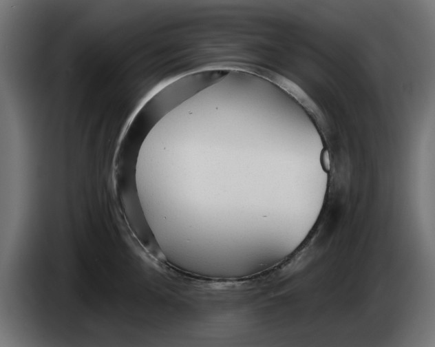 X0000083550908200703021647