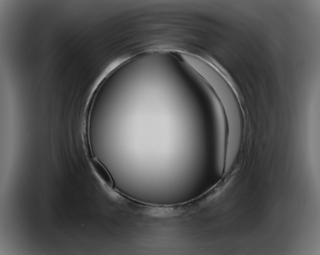 X0000083550909200703021647