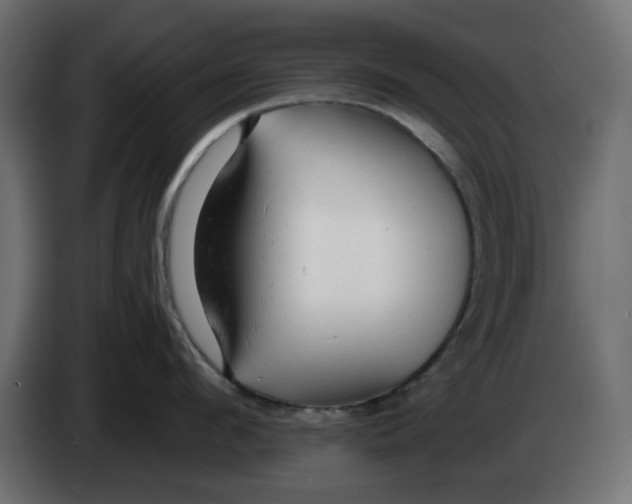 X0000083550912200703021647