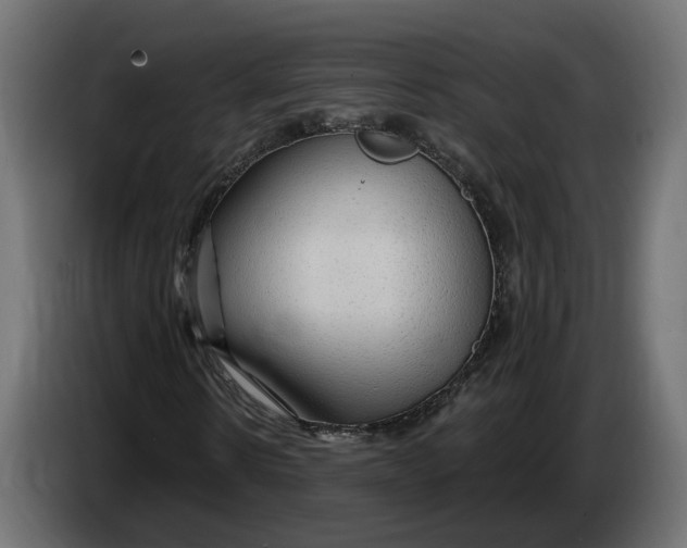 X0000083550914200703021646