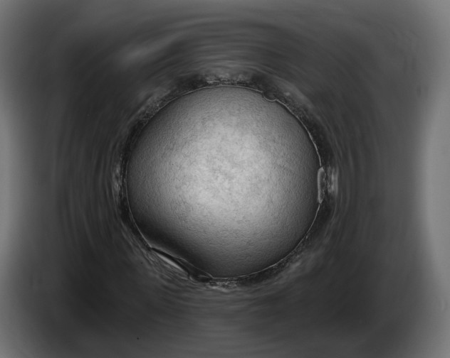 X0000083550915200703021646