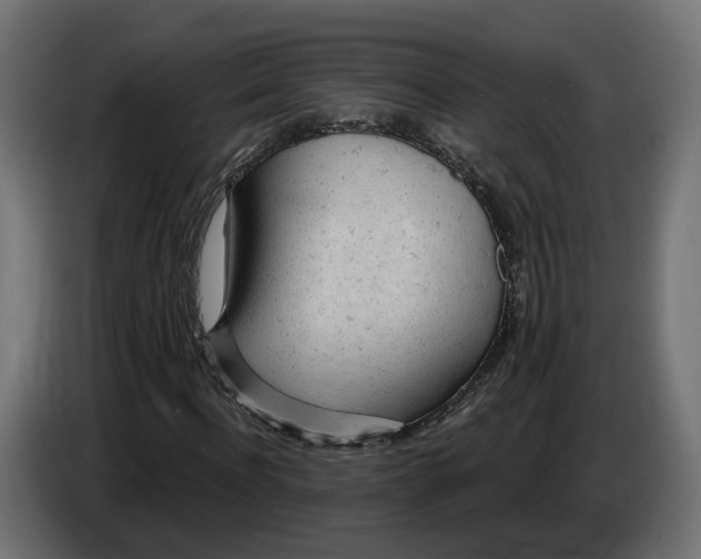 X0000083550916200703021646