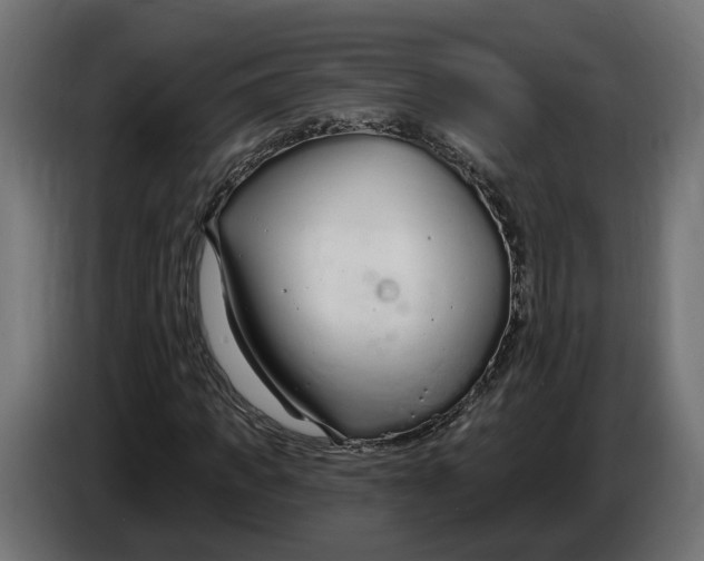 X0000083550917200703021646