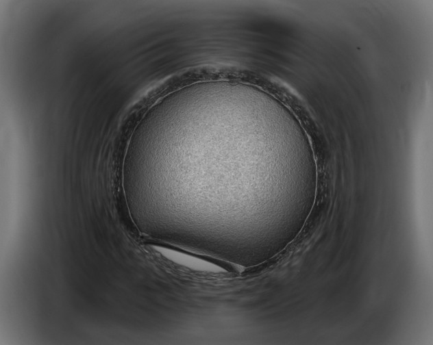 X0000083550919200703021647
