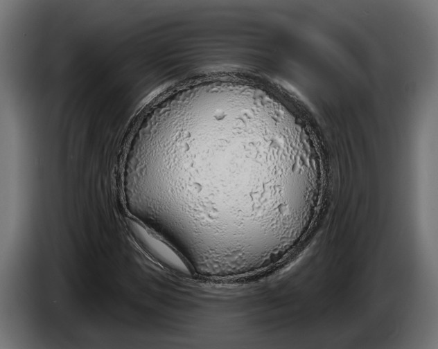 X0000083550921200703021647