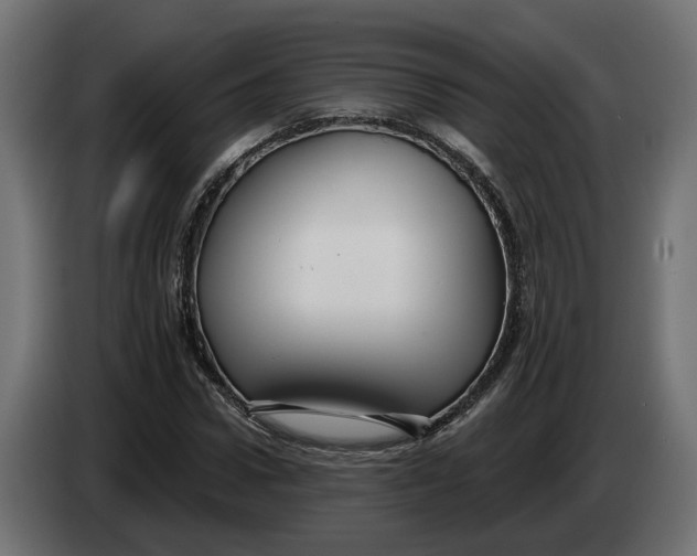 X0000083550922200703021647