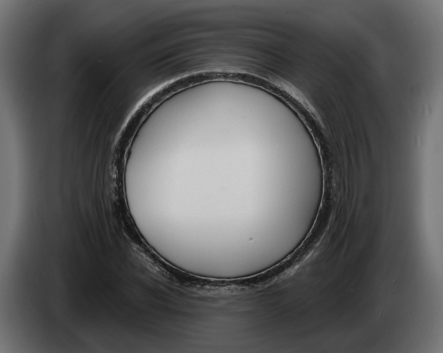 X0000083550926200703021647